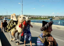 В Камышине решили исключить шествие по Бородинскому мосту и "мочилово" из программы Арбузного фестиваля в 2022 году