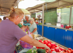«Каторга и выживание»: депутаты предложили выплачивать всем пожилым 13-ю пенсию