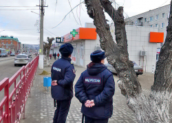 Аудиторы выяснили, что в Камышине борьба с наркоманией за бюджетные деньги ведется с "букетом" нарушений