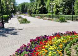 32-градусная жара и геомагнитные всплески: погодная повестка для Камышина на первый день июля (ВИДЕО)