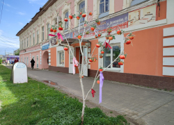 Да не надо Камышину пластиковых деревьев - лучше живые и красивые вырастить! - камышанка