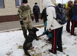 Дай лапу, друг: в Камышине полицейские-кинологи устроили экскурсию кадетам