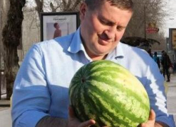 В Камышине сформирована тайная группа по выдвижению Андрея Бочарова на второй выборный губернаторский срок