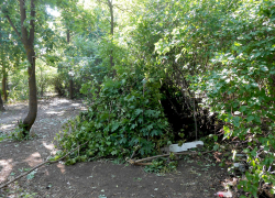 Что за странные шалаши строят у городского парка в Камышине? - камышанка