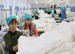 Порядка 50 миллионов рублей получит в 2017 году ООО «Камышинский текстиль»
