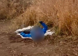 На Волге напротив Камышина утонул рыбак