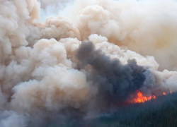 Почему пожарные и "скорые" неслись с сиренами на  улицу Пушкина в Камышине