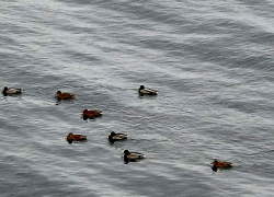Североатлантический циклон «Квитерия» спровоцирует шквал в Волгоградской области