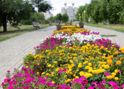 В Камышине после дождя будет солнечно, но без изнуряющей жары 31 июля