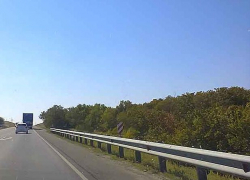 В лесопосадке возле трассы между Камышином и Волгоградом найдены человеческие кости