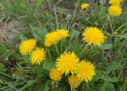 Синоптики убрали из прогноза для Камышина на 23 апреля грозу, но оставили дождь и депрессию