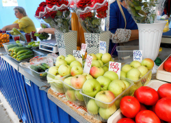 Роспотребнадзор посоветовал камышанам переходить на средиземноморский тип питания, спасающий от инфарктов и рака, но...