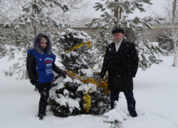 В Камышинском районе "Единая Россия" нарядила натуральные елки в селах