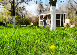 Почему в Камышине белок в парке не отпускают на свободу, а держат взаперти? - камышанка