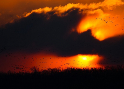 В прессе появились первые предположения, отчего во время прогулки скоропостижно скончалась 16-летняя ученица школы №8 Камышина