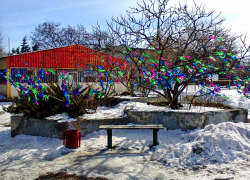 Зачем на ветки живого дерева навязывать тряпки? - камышанка