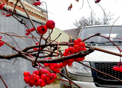 Погода в Камышине "вышла на ноль" - 25 ноября осадков не предвидится