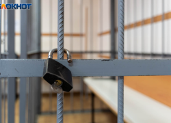 Собирала деньги для террористов: молодую фанатку боевиков поймали в Волгоградской области, - "Блокнот Волгограда"