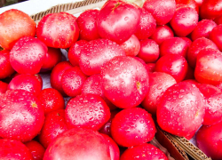 В Камышине цена помидоров опустилась до 120 рублей за килограмм лучших 