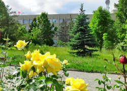 В Камышине содержание чиновников и депутатов обходится в 177 с половиной миллионов в год