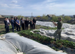 Как в Камышинском районе школьников учили выращивать клубнику