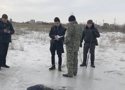 "Блокнот Волгограда": Пропавший после дня рождения 14-летний волжанин найден мертвым 