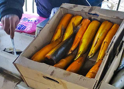 "Пошла на самый дешевый рынок в Камышине, а ничего вкусненького купить не смогла - дорого!" - камышанка