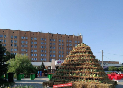 В Камышине обсуждают построенную "гору" для арбузов у "Опавы" и гору арбузов в мусорных баках