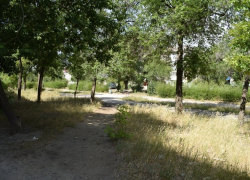 Главный архитектор Камышина Дмитрий Вайрих гарантирует горожанам 500-метровую Аллею Любви на месте забытой Богом улицы Терешковой
