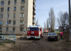 В Камышине пожарные машины пронеслись с сиренами и на скорости, а вызов оказался ложным