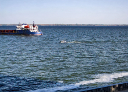 Волгоград и Саратов свяжут речные скоростные суда, Камышин без причала - не "игрок" проекта?