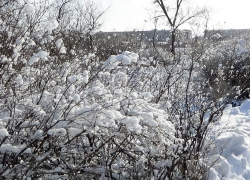 В Волгоградской области заговорили о снежном шквале завтра, 15 февраля