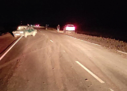 Под Палласовкой женщина за рулем "ВАЗа" сбила насмерть велосипедиста