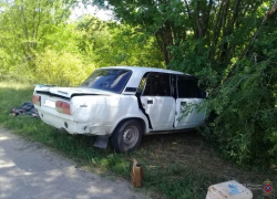 Смертельное пике: водитель погиб на месте, врезавшись на "семерке" в дерево