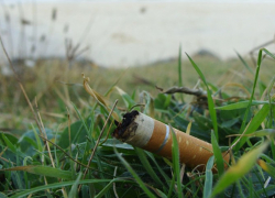 Изорванное нижнее белье, окурки и другие объекты экспертиз стали свидетельствами группового изнасилования камышанки