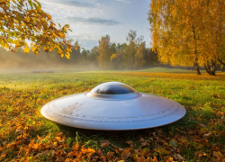 «Инопланетяне высадились в Новгородской области»: в РАН рассказали, где приземлился НЛО, пролетевший над Москвой, - "Блокнот - Россия"