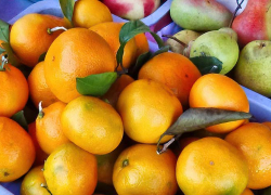 В Камышине цена на мандарины, презентуемые как абхазские, перестала опускаться ниже 180 рублей