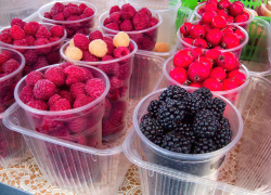 Второй урожай малины и ежевики в Камышине можно купить по 150 рублей за пол-литровый стакан