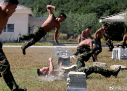 Новости СВО на утро 22 октября: наемники ВСУ просят о помощи, прорыв обороны в Часовом Яре, КНДР может прислать суперспецназ