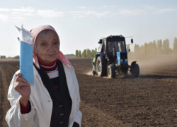 Какую "чудо-сеялку" задействовали аграрии Камышинского района во время осенних полевых работ