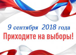 Глава Камышина Владимир Пономарев и глава администрации города Станислав Зинченко опубликовали свое последнее обращение градоначальнической парой - позвали камышан на выборы