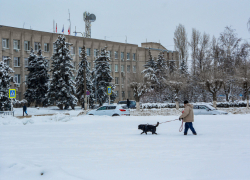 В Камышине главный редактор газеты "Диалог" Виктория Кадацкая согласна, что доставка издания крайне не регулярная, - ну, и?..