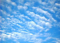 В минувшие выходные в Камышине принял решение уйти из жизни пожилой мужчина