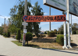 В Камышине жара сохранится до конца недели