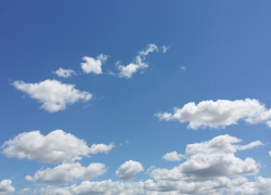 В Камышинском районе в дворовой постройке родственники обнаружили тело пенсионера, сделавшего страшный шаг в никуда