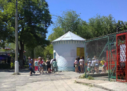 Администрация Камышина ищет семью 14-летнему общительному подростку
