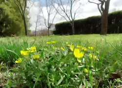 Самая жаркая за 30 лет весна начнется со снежной недели в Камышине