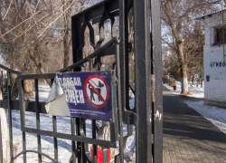 В Камышине на воротах городского парка висит "антисобачий" аншлаг, порванный собаками? - камышанка
