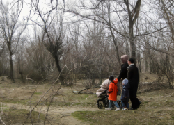 В Камышине  новый парк Текстильщиков начали убирать с "задворок" - горожане сразу отправились на прогулки по вычищенным тропинкам (ВИДЕО)