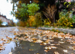 Стало известно, кому в Камышине придется сидеть без света в первый день ноября